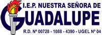 Seguridad perimetral y cámaras de vigilancia para instituciones educativas en Colegio Guadalupe